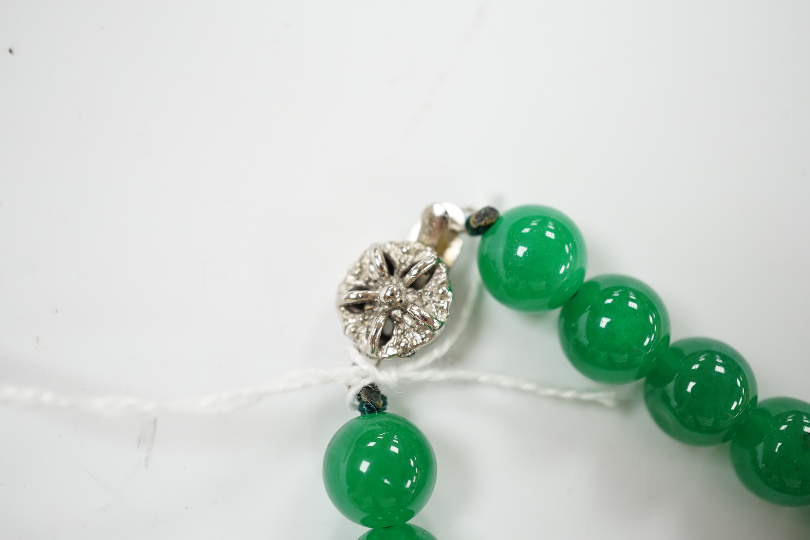 A single strand jade bead necklace, with white metal clasp, 42cm.
